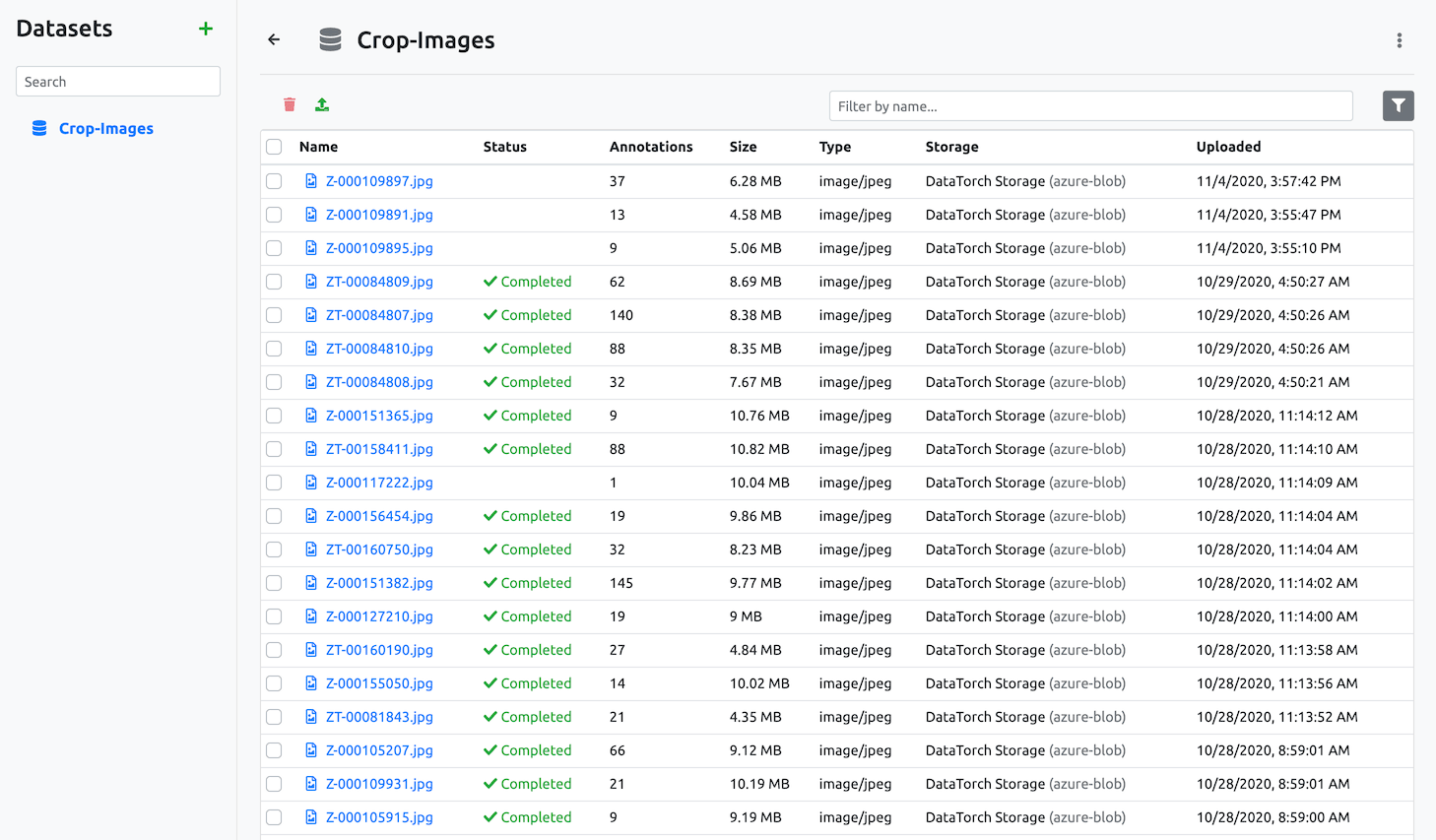 List of images with associated metadata, such as annotation status, annotation count, file size, etc.