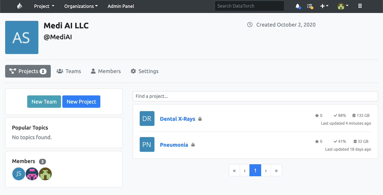 Interface of the organization page, showing off associated projects and members.